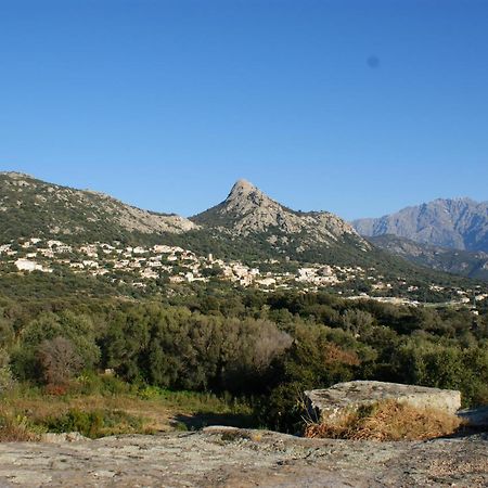 Joli 2 Chambres Sur Lumio, Vue A Couper Le Souffle. Dış mekan fotoğraf
