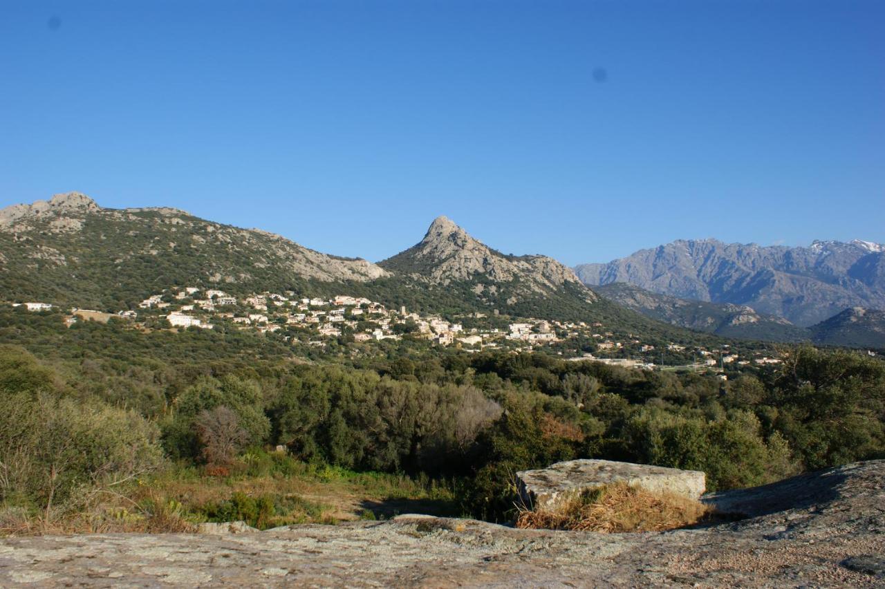 Joli 2 Chambres Sur Lumio, Vue A Couper Le Souffle. Dış mekan fotoğraf